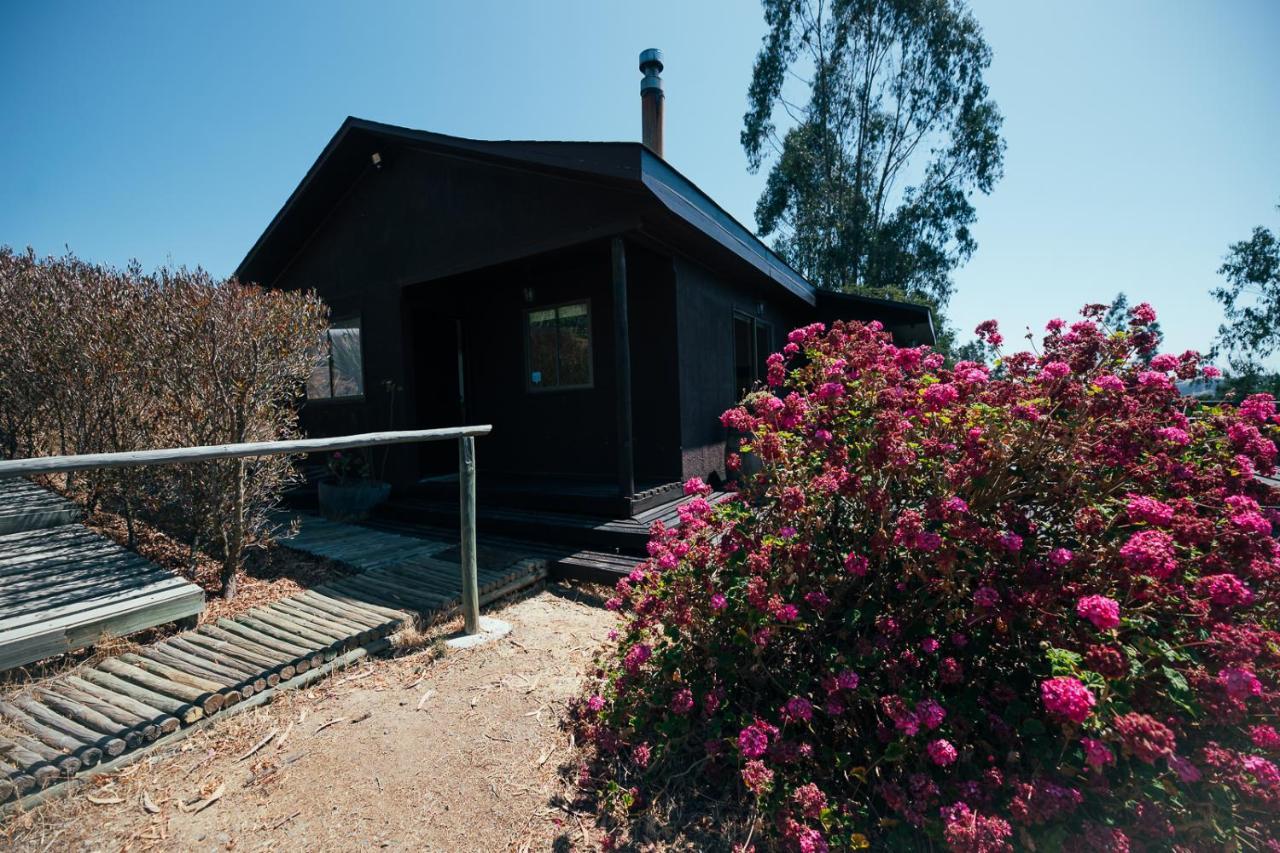 卡塔赫纳Bungalow Miramar & Jeronimo At Casa Marin Vineyards住宿加早餐旅馆 外观 照片